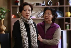 咱家那些事电视剧全集播放,温馨家庭生活全景展现