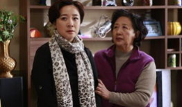 咱家那些事电视剧全集播放,温馨家庭生活全景展现